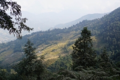 018-Nepal-annapurna-copyright-piotr-nogal