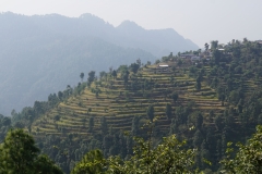 035-Nepal-annapurna-copyright-piotr-nogal