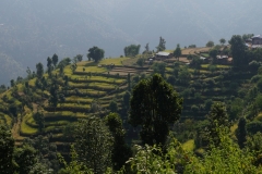 036-Nepal-annapurna-copyright-piotr-nogal