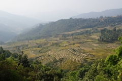 057-Nepal-annapurna-copyright-piotr-nogal