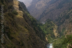 072-Nepal-annapurna-copyright-piotr-nogal
