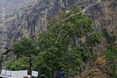 077-Nepal-annapurna-copyright-piotr-nogal