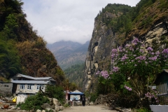 101-Nepal-annapurna-copyright-piotr-nogal