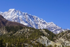 156-Nepal-annapurna-copyright-piotr-nogal 156-Nepal-annapurna-copyright-piotr-nogal
