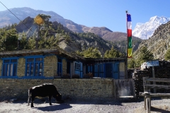 159-Nepal-annapurna-copyright-piotr-nogal 159-Nepal-annapurna-copyright-piotr-nogal