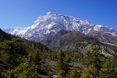 162-Nepal-annapurna-copyright-piotr-nogal 162-Nepal-annapurna-copyright-piotr-nogal