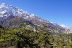 166-Nepal-annapurna-copyright-piotr-nogal 166-Nepal-annapurna-copyright-piotr-nogal