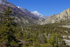 169-Nepal-annapurna-copyright-piotr-nogal 169-Nepal-annapurna-copyright-piotr-nogal