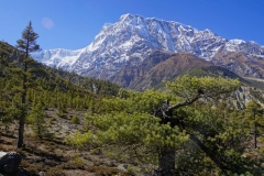 170-Nepal-annapurna-copyright-piotr-nogal 170-Nepal-annapurna-copyright-piotr-nogal