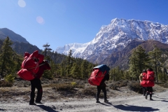 173-Nepal-annapurna-copyright-piotr-nogal 173-Nepal-annapurna-copyright-piotr-nogal