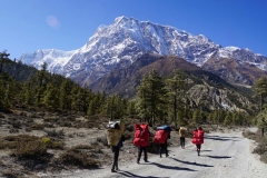 174-Nepal-annapurna-copyright-piotr-nogal 174-Nepal-annapurna-copyright-piotr-nogal
