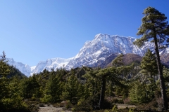 176-Nepal-annapurna-copyright-piotr-nogal 176-Nepal-annapurna-copyright-piotr-nogal