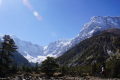 181-Nepal-annapurna-copyright-piotr-nogal 181-Nepal-annapurna-copyright-piotr-nogal