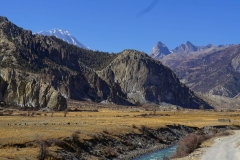 192-Nepal-annapurna-copyright-piotr-nogal 192-Nepal-annapurna-copyright-piotr-nogal