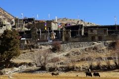 196-Nepal-annapurna-copyright-piotr-nogal