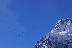 244-Nepal-annapurna-copyright-piotr-nogal 244-Nepal-annapurna-copyright-piotr-nogal