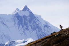 266-Nepal-annapurna-copyright-piotr-nogal 266-Nepal-annapurna-copyright-piotr-nogal