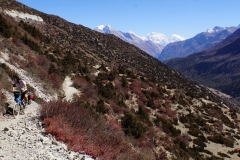 292-Nepal-annapurna-copyright-piotr-nogal 292-Nepal-annapurna-copyright-piotr-nogal