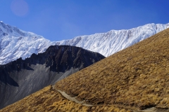 340-Nepal-annapurna-copyright-piotr-nogal 340-Nepal-annapurna-copyright-piotr-nogal