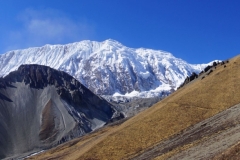 344-Nepal-annapurna-copyright-piotr-nogal 344-Nepal-annapurna-copyright-piotr-nogal