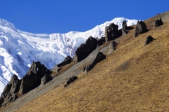 345-Nepal-annapurna-copyright-piotr-nogal 345-Nepal-annapurna-copyright-piotr-nogal