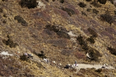 360-Nepal-annapurna-copyright-piotr-nogal 360-Nepal-annapurna-copyright-piotr-nogal