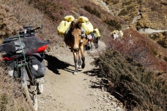361-Nepal-annapurna-copyright-piotr-nogal