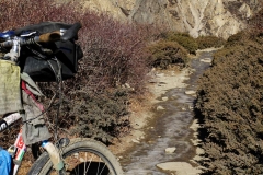 373-Nepal-annapurna-copyright-piotr-nogal 373-Nepal-annapurna-copyright-piotr-nogal