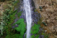 491-Nepal-annapurna-copyright-piotr-nogal 491-Nepal-annapurna-copyright-piotr-nogal