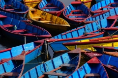 524-Nepal-annapurna-copyright-piotr-nogal