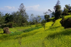 575-Nepal-annapurna-copyright-piotr-nogal 575-Nepal-annapurna-copyright-piotr-nogal