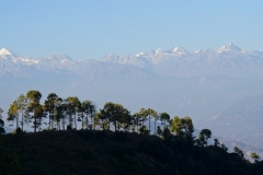 603-Nepal-annapurna-copyright-piotr-nogal