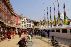 624-Nepal-annapurna-copyright-piotr-nogal