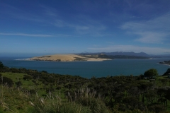 neuseeland nordinsel copyright piotr nogal 019