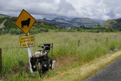 neuseeland sudinsel copyright piotr nogal 013