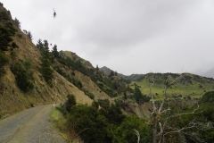 neuseeland sudinsel copyright piotr nogal 015