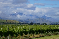 neuseeland sudinsel copyright piotr nogal 017