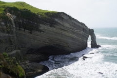 neuseeland sudinsel copyright piotr nogal 033