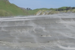 neuseeland sudinsel copyright piotr nogal 040