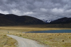 neuseeland sudinsel copyright piotr nogal 066