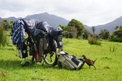 neuseeland sudinsel copyright piotr nogal 086