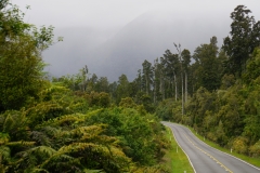 neuseeland sudinsel copyright piotr nogal 108