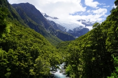 neuseeland sudinsel copyright piotr nogal 135