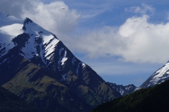 neuseeland sudinsel copyright piotr nogal 150