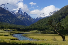 neuseeland sudinsel copyright piotr nogal 151
