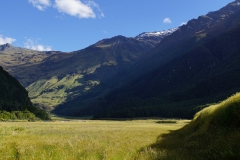 neuseeland sudinsel copyright piotr nogal 153