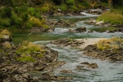 neuseeland sudinsel copyright piotr nogal 195