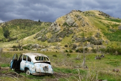 neuseeland sudinsel copyright piotr nogal 197