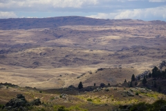 neuseeland sudinsel copyright piotr nogal 209