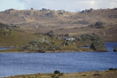 neuseeland sudinsel copyright piotr nogal 213